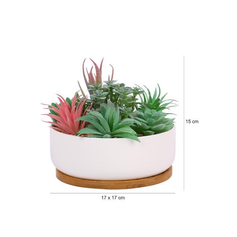 Buy Faux Succulent Set In Round Pot - 14 cms Artificial Plants from Vaaree