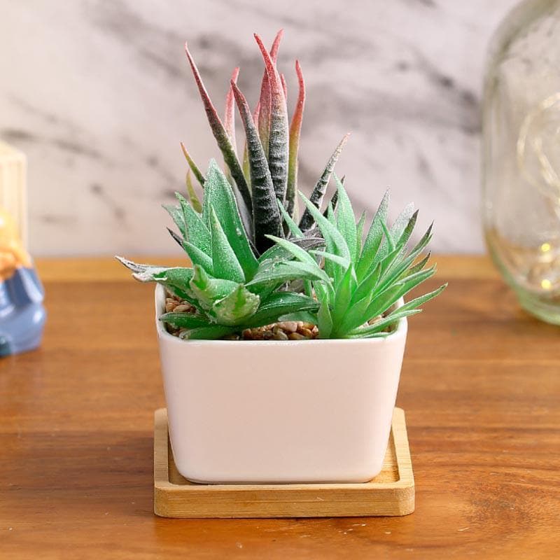 Buy Faux Succulent Set In Square Pot - 14.5 cms Artificial Plants from Vaaree