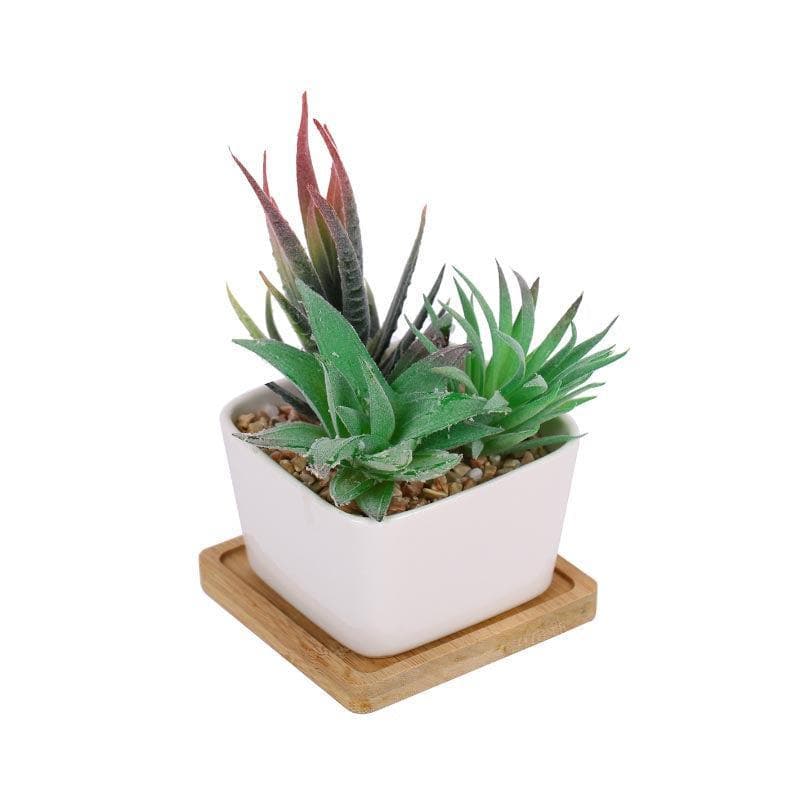 Buy Faux Succulent Set In Square Pot - 14.5 cms Artificial Plants from Vaaree