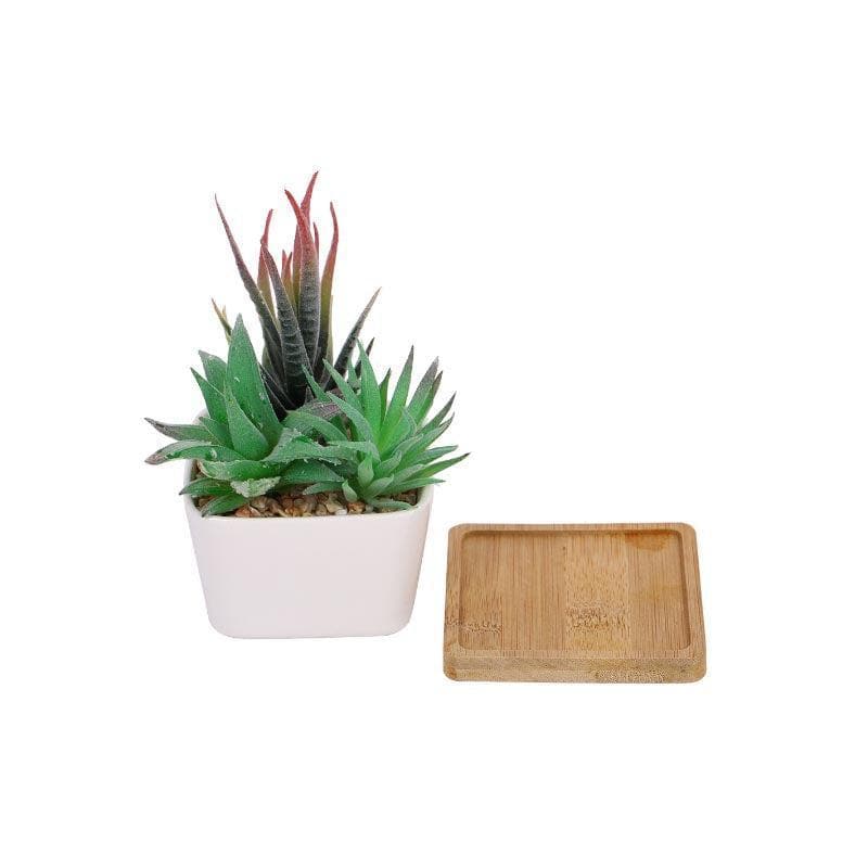 Buy Faux Succulent Set In Square Pot - 14.5 cms Artificial Plants from Vaaree