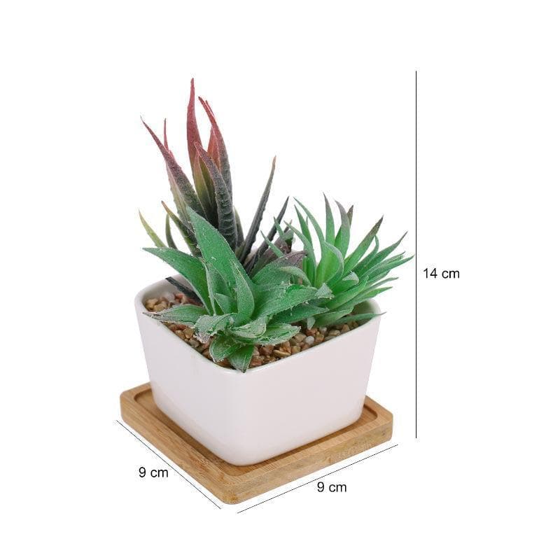 Artificial Plants - Faux Succulent Set In Square Pot - 14.5 cms