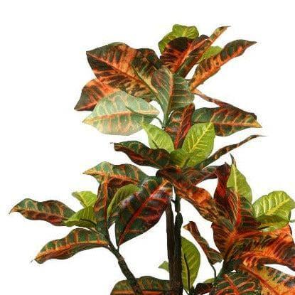 Artificial Plants - Faux Tall Croton Bonsai In Ceramic Pot - 41 cms