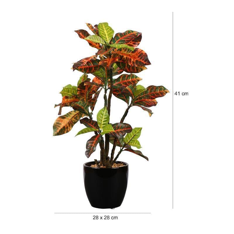 Artificial Plants - Faux Tall Croton Bonsai In Ceramic Pot - 41 cms