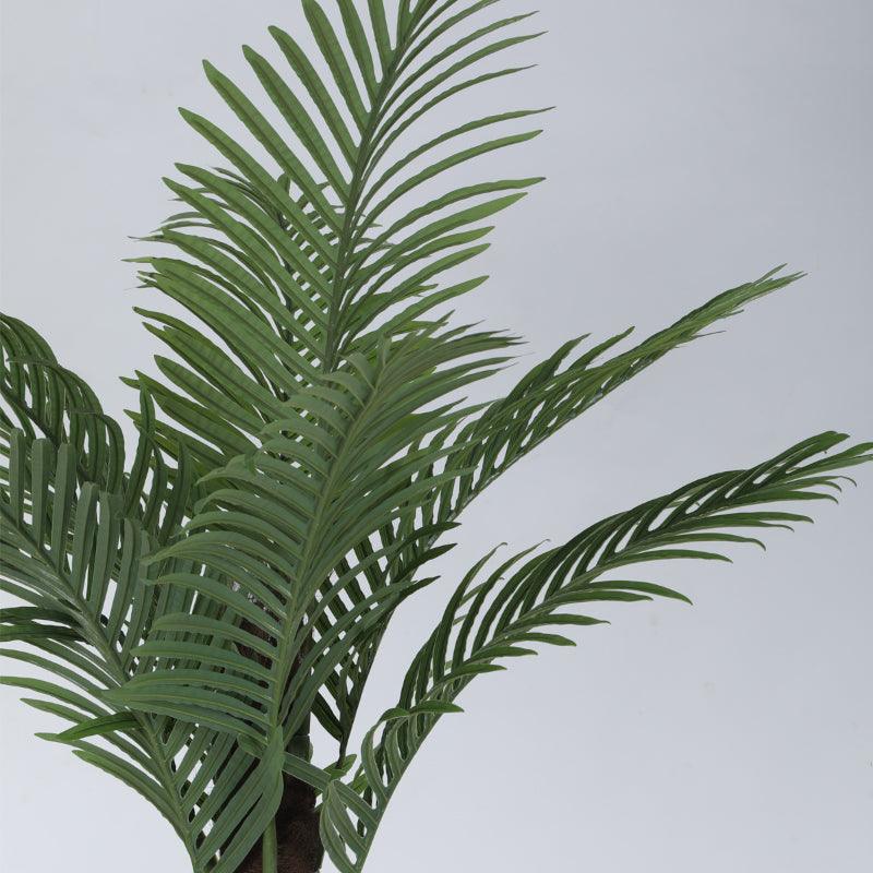 Buy Faux Tall Feather Palm Plant With Pot - 6.56 ft Artificial Plants from Vaaree