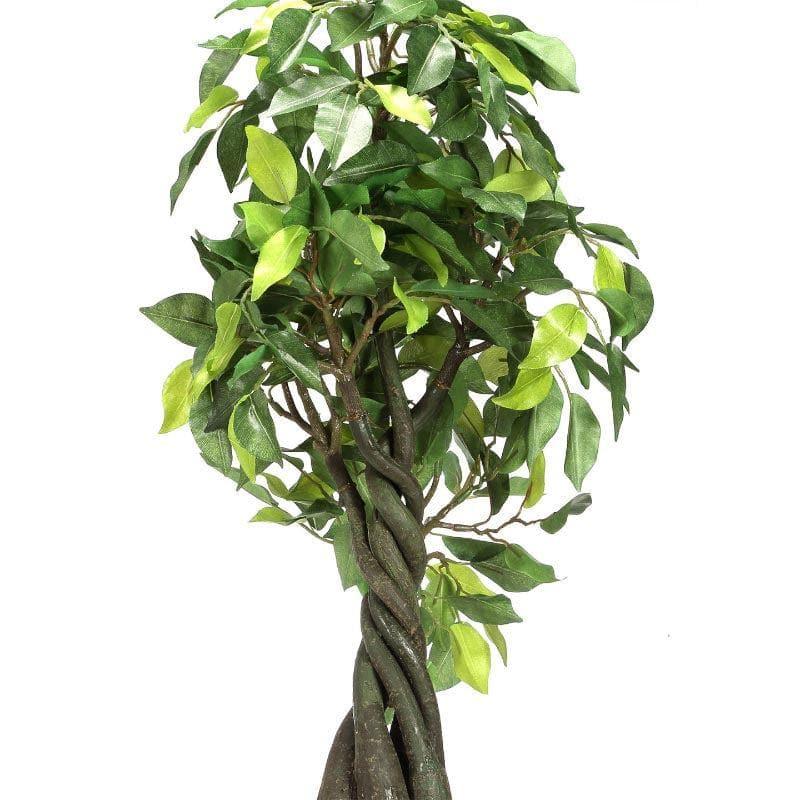 Artificial Plants - Faux Tall Ficus Bonsai (55 cms) - Green