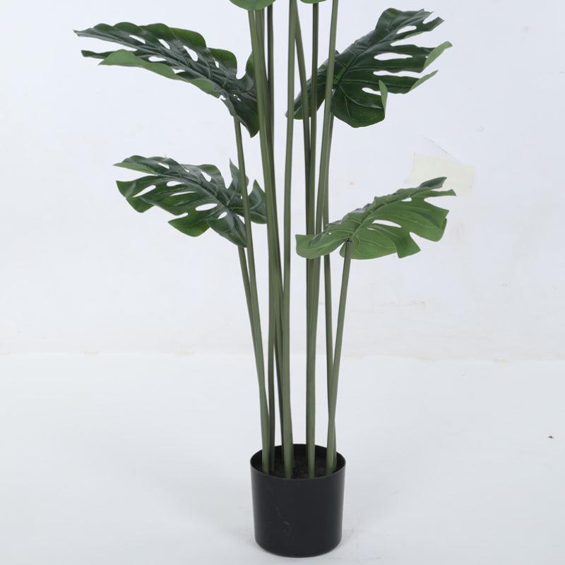 Buy Faux Tall Green Monstera Swiss Cheese Plant With Pot - 3.94 ft Artificial Plants from Vaaree