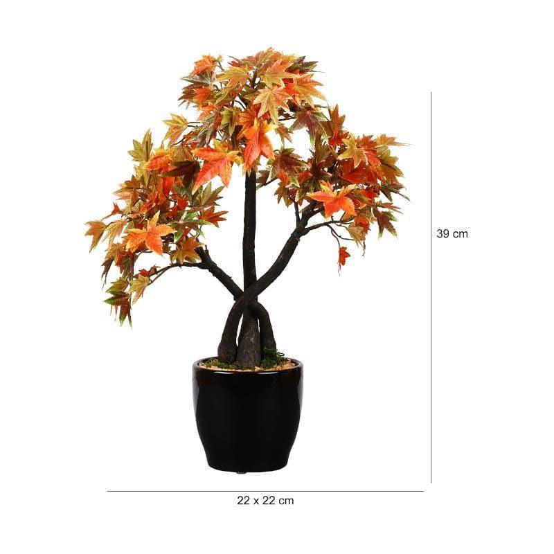 Artificial Plants - Faux Tall Maple Bonsai - 39 cms