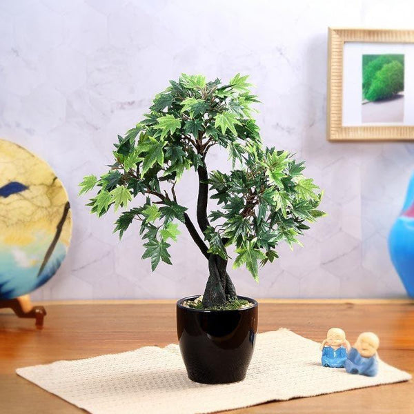 Artificial Plants - Faux Tall Maple Bonsai (39 cms) - Green