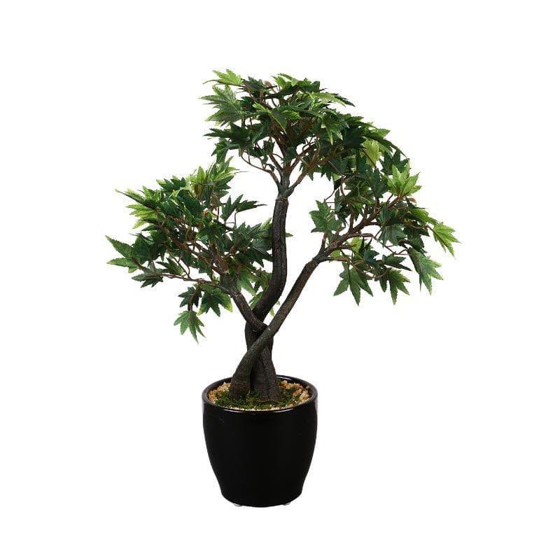 Artificial Plants - Faux Tall Maple Bonsai (39 cms) - Green