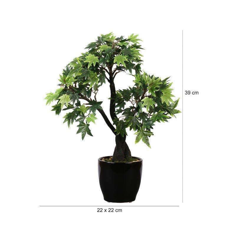 Artificial Plants - Faux Tall Maple Bonsai (39 cms) - Green