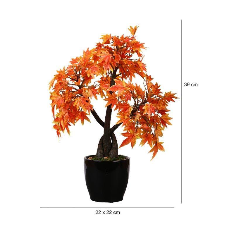 Buy Faux Tall Maple Bonsai (39 cms) - Red Artificial Plants from Vaaree