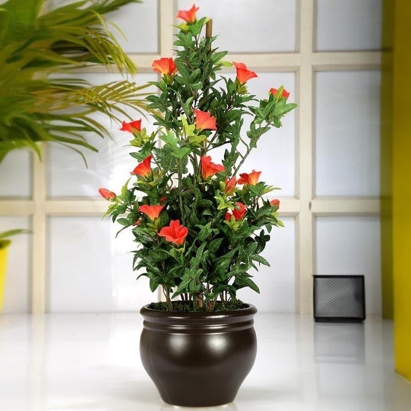 Buy Faux Tall Morning Glory Bonsai In Ceramic Pot (50 cms) - Orange Artificial Plants from Vaaree