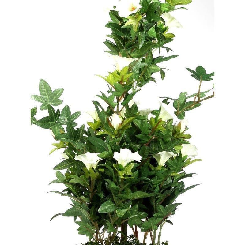 Artificial Plants - Faux Tall Morning Glory Bonsai In Ceramic Pot (50 cms) - White