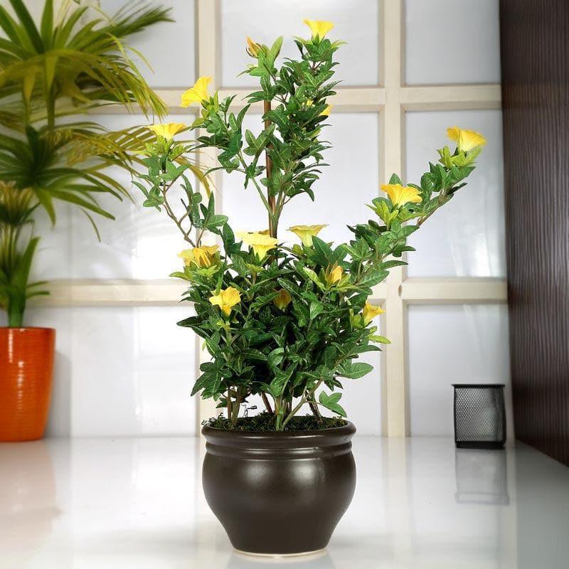 Artificial Plants - Faux Tall Morning Glory Bonsai In Ceramic Pot (50 cms) - Yellow