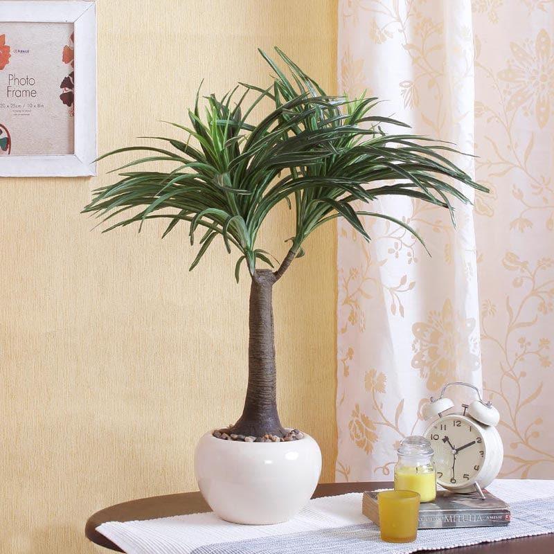 Buy Faux Tall Nolina Bonsai In Ceramic Pot - 2.03 ft Artificial Plants from Vaaree