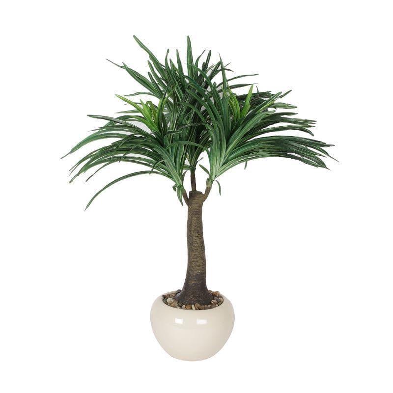 Buy Faux Tall Nolina Bonsai In Ceramic Pot - 2.03 ft Artificial Plants from Vaaree