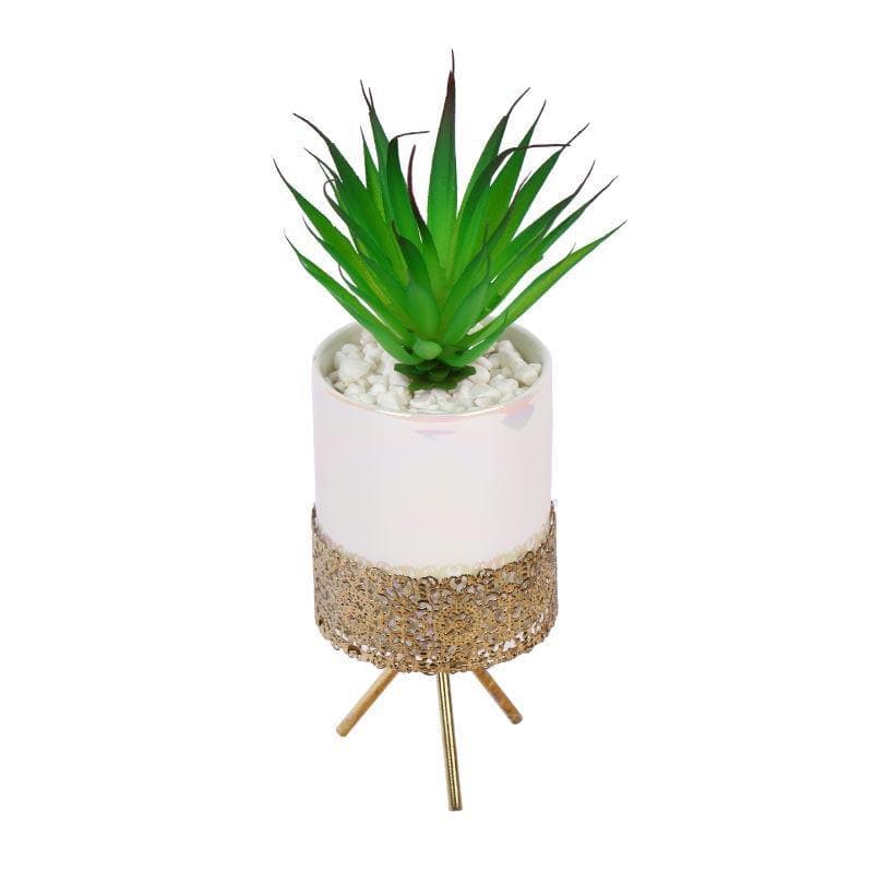 Artificial Plants - Faux Tequilana In Ceramic Pot With Tripod - 23 cms