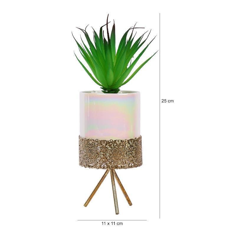 Artificial Plants - Faux Tequilana In Ceramic Pot With Tripod - 23 cms