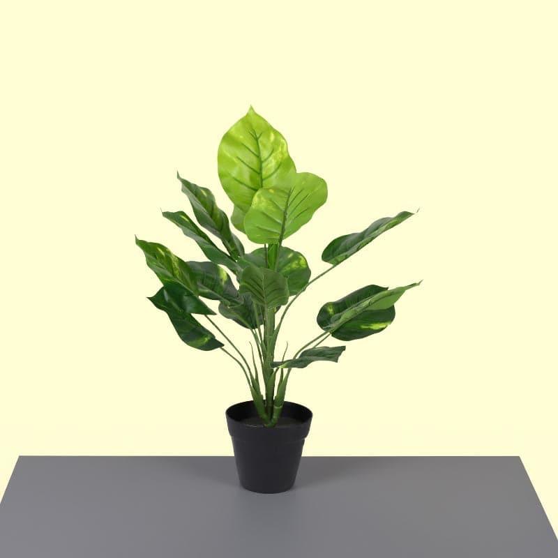 Artificial Plants - Faux Touch Pothos Bonsai In Plastic Pot - 45 cms