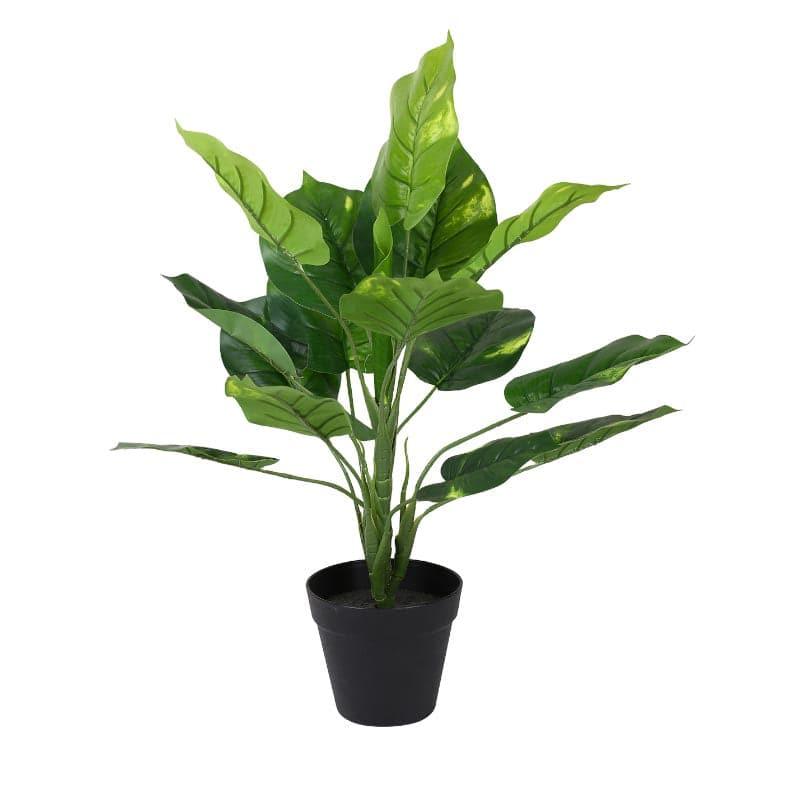 Artificial Plants - Faux Touch Pothos Bonsai In Plastic Pot - 45 cms