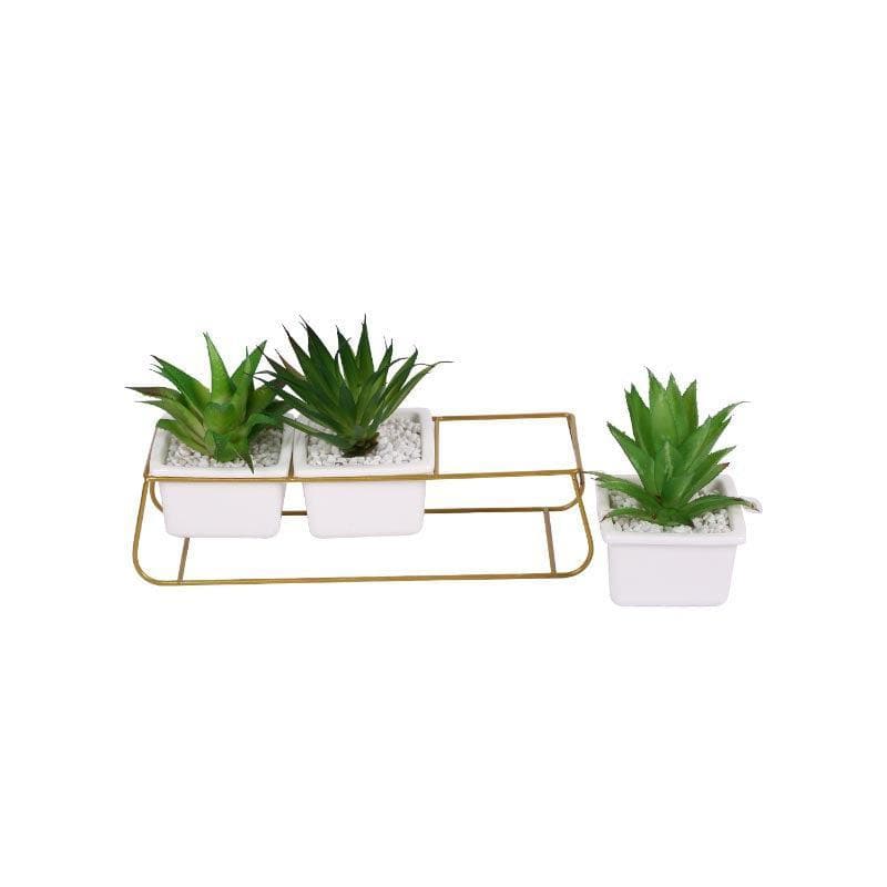 Buy Faux Triad Succulent In Pot - 15.5 cms Artificial Plants from Vaaree