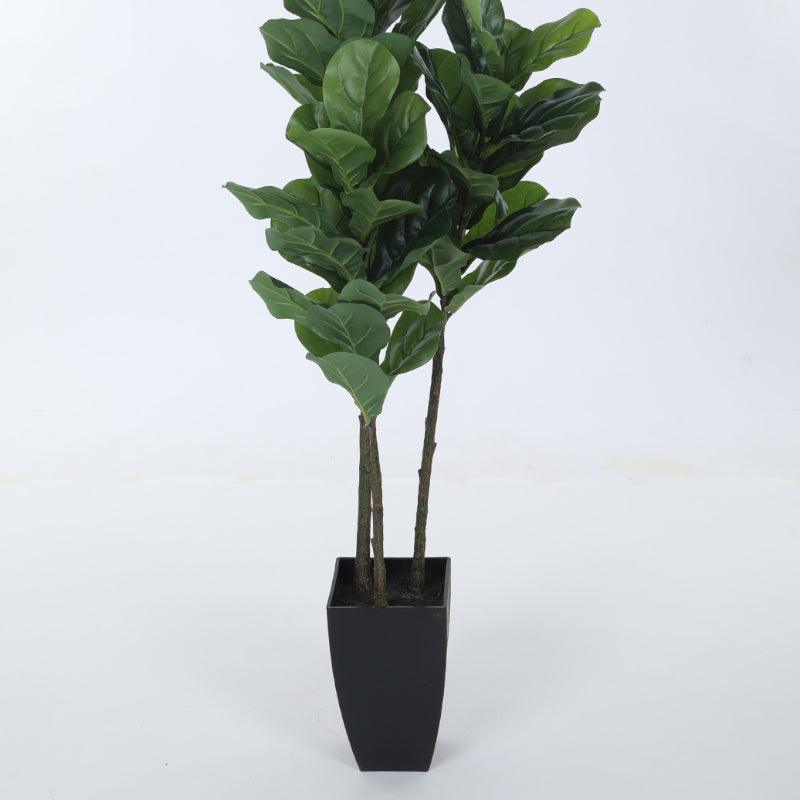 Buy Faux Tropic Fig Plant With Pot - 3.94 ft Artificial Plants from Vaaree