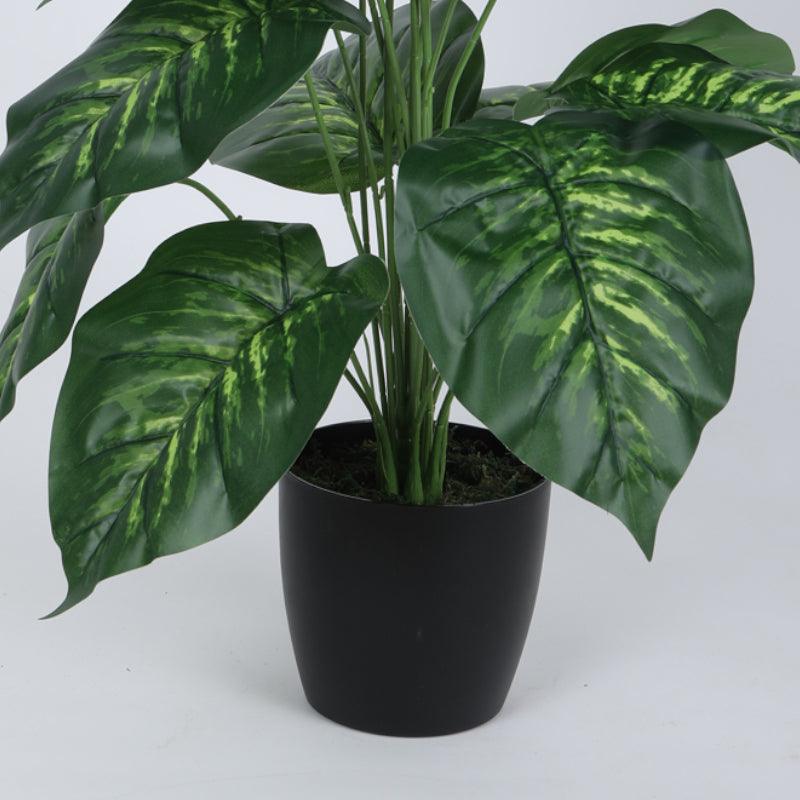 Buy Faux Tropic Leopard Lily With Pot - 2.13 ft Artificial Plants from Vaaree