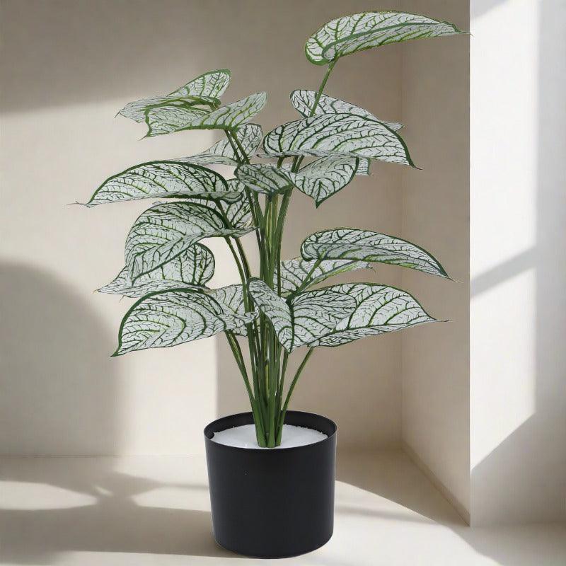 Buy Faux Tropica Dieffenbachia Silk Plant With Pot - 2.13 ft Artificial Plants from Vaaree