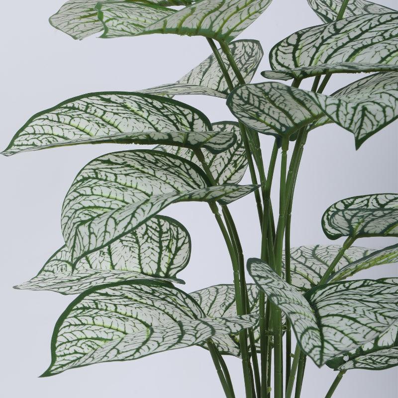 Buy Faux Tropica Dieffenbachia Silk Plant With Pot - 2.13 ft Artificial Plants from Vaaree