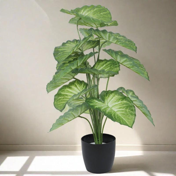 Artificial Plants - Faux Tropica Dumb Cane Plant With Pot - 2.13 ft