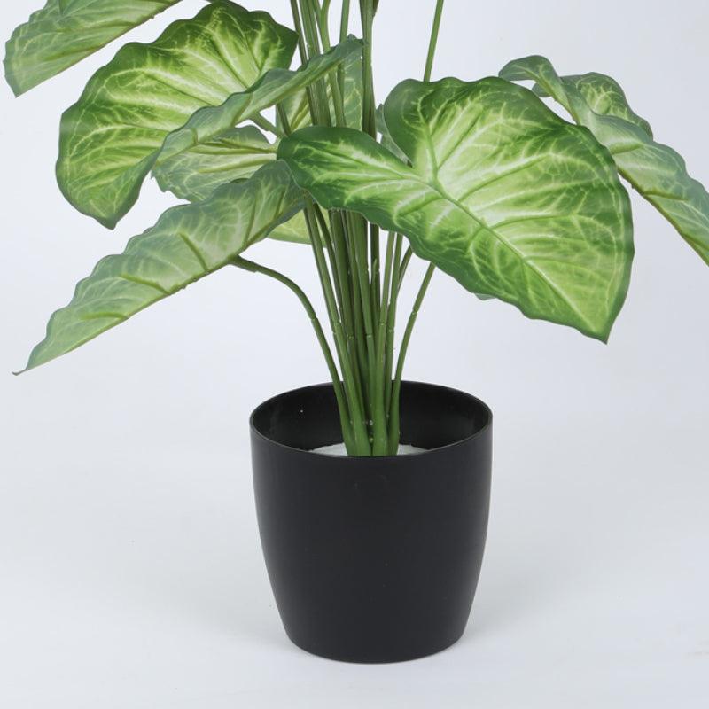 Artificial Plants - Faux Tropica Dumb Cane Plant With Pot - 2.13 ft