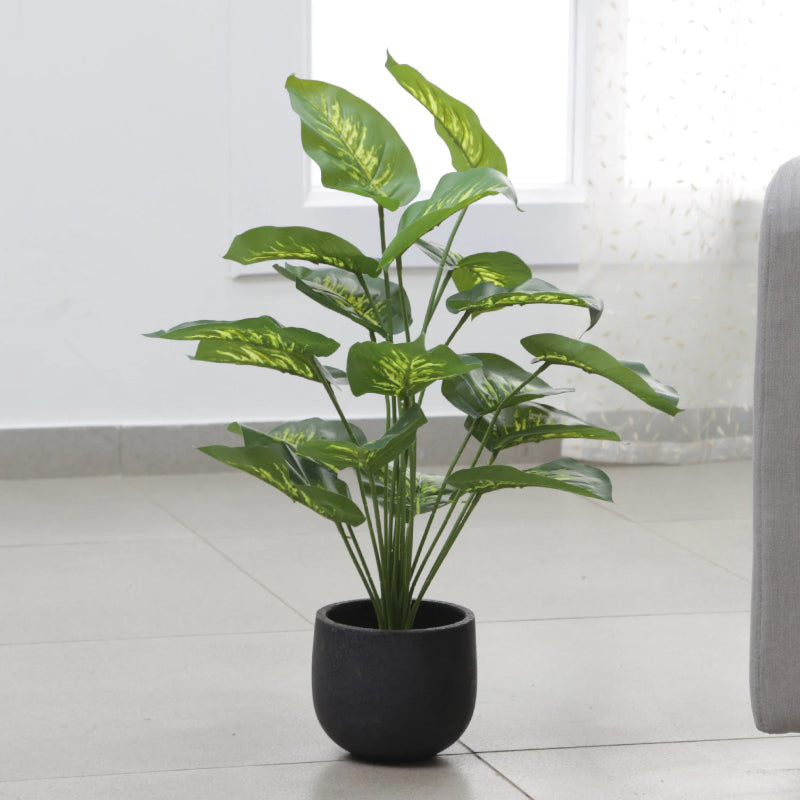 Buy Faux Tropical Dieffenbachia Silk Plant With Pot - 2.13 ft Artificial Plants from Vaaree