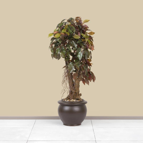 Artificial Plants - Faux Twisted Ficus Bonsai (2.03 ft) - Green & Red