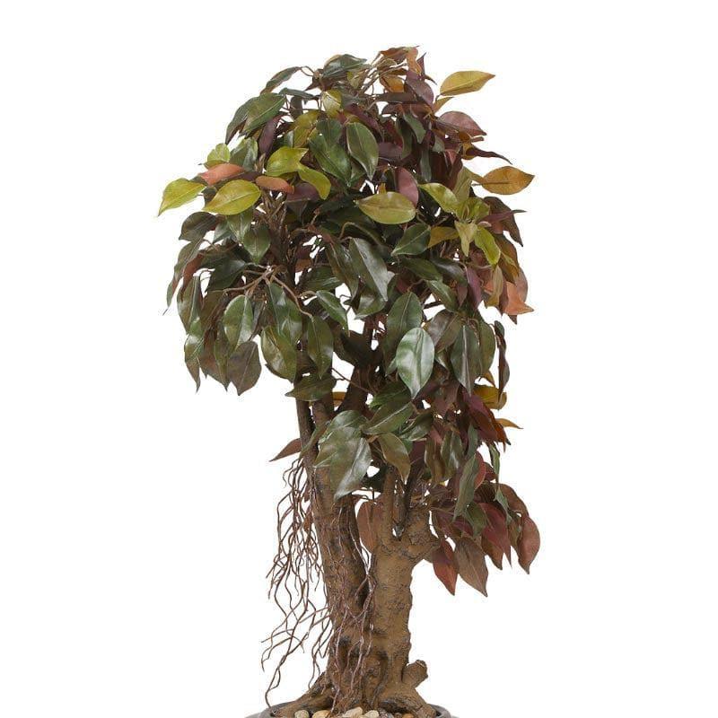 Artificial Plants - Faux Twisted Ficus Bonsai (2.03 ft) - Green & Red