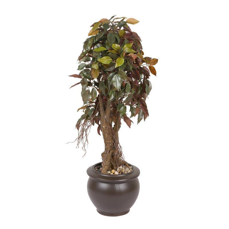 Artificial Plants - Faux Twisted Ficus Bonsai (2.03 ft) - Green & Red