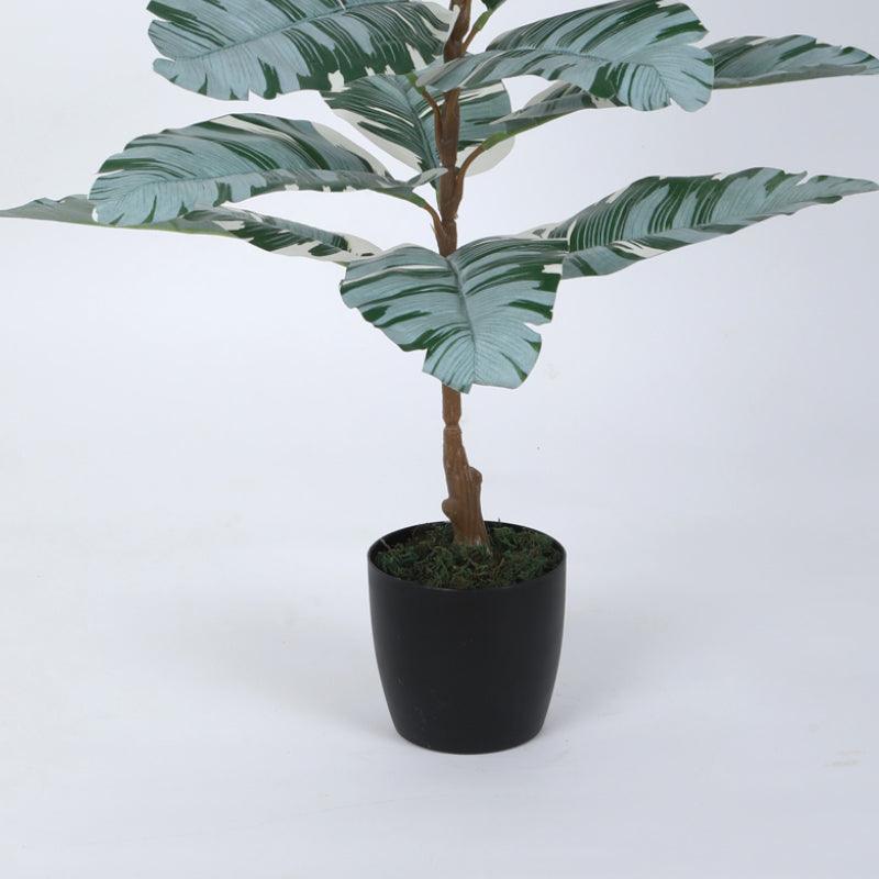 Artificial Plants - Faux White Banana Plant With Pot - 2.46 ft