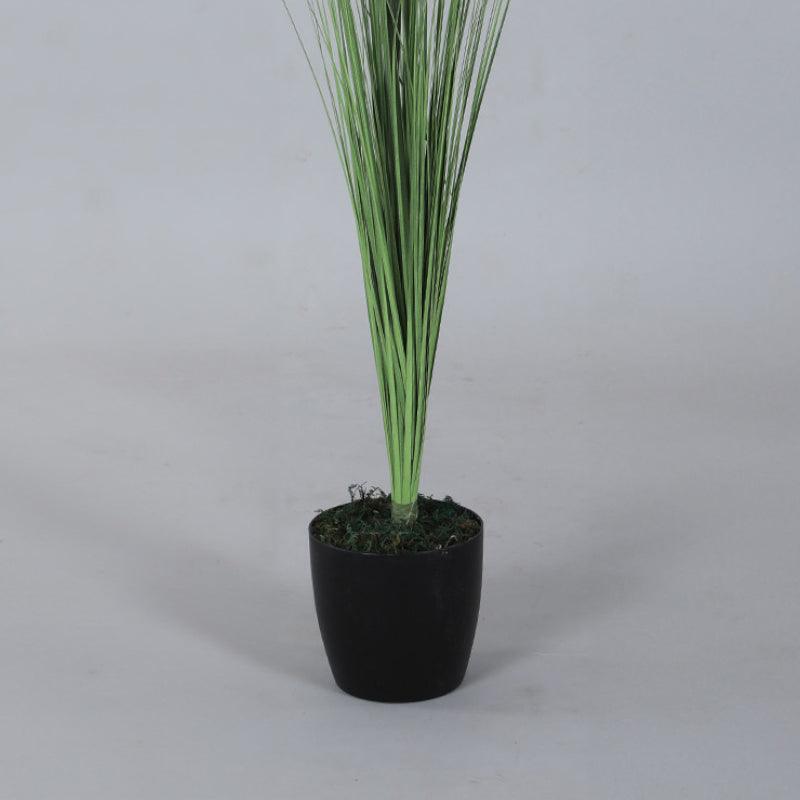 Artificial Plants - Faux White Grass With Pot - 2.95 ft