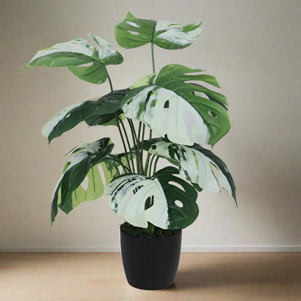 Artificial Plants - Faux White Monstera Silk Plant With Pot - 55 cms