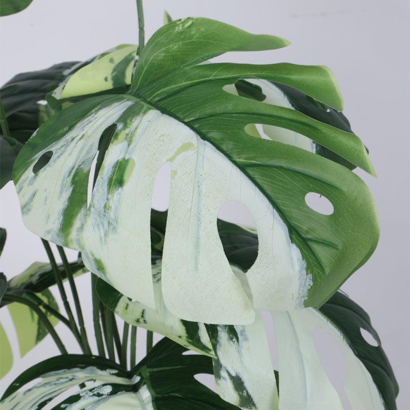 Buy Faux White Monstera Silk Plant With Pot - 55 cms Artificial Plants from Vaaree