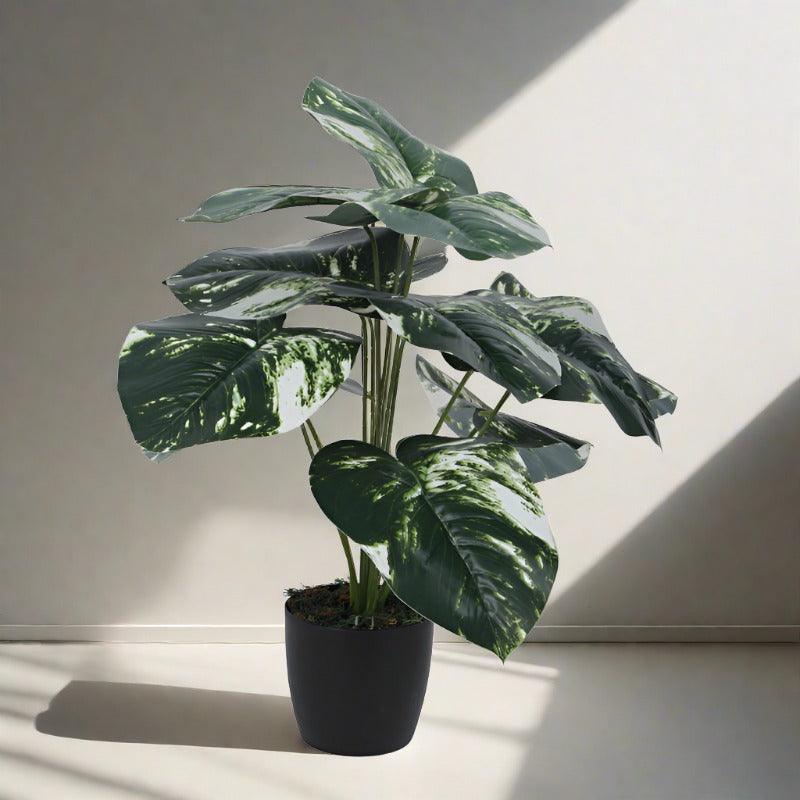 Buy Faux White Patch Monstera Silk Plant With Pot - 55 cms Artificial Plants from Vaaree