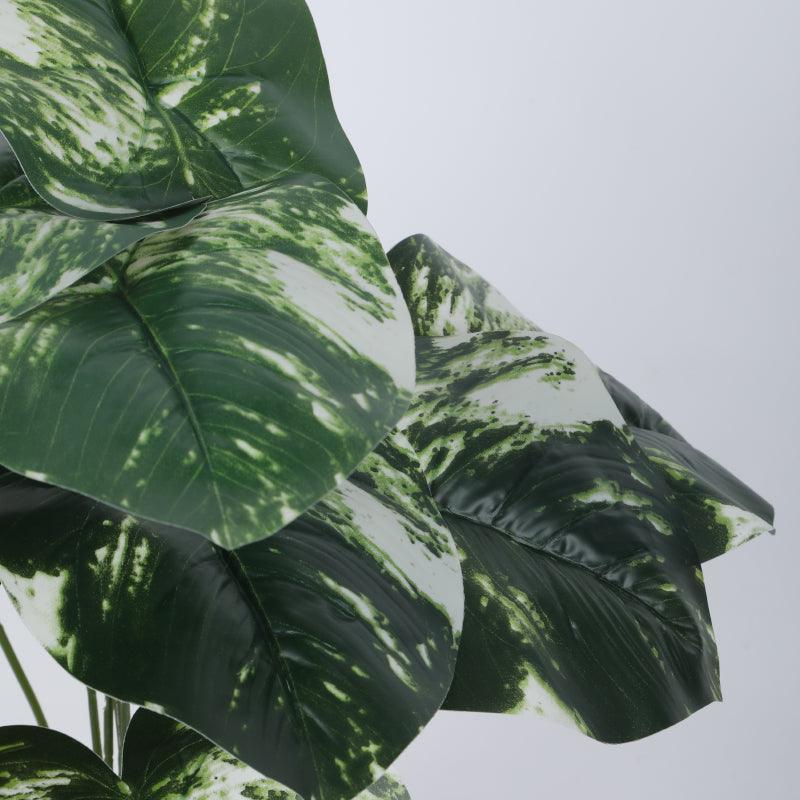 Buy Faux White Patch Monstera Silk Plant With Pot - 55 cms Artificial Plants from Vaaree