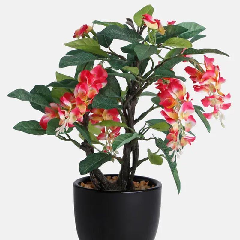 Buy Artificial Plants - Faux Wisteria Bonsai In Ceramic Pot - Pink at Vaaree online