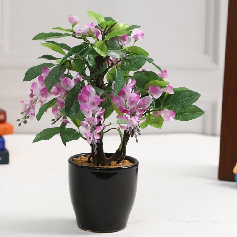 Buy Faux Wisteria Bonsai In Ceramic Pot (25 cms) - Purple Artificial Plants from Vaaree