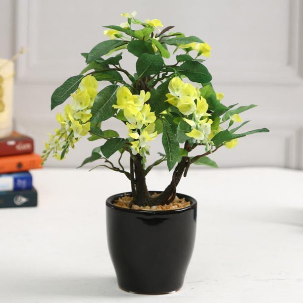 Artificial Plants - Faux Wisteria Bonsai In Ceramic Pot (25 cms) - Yellow