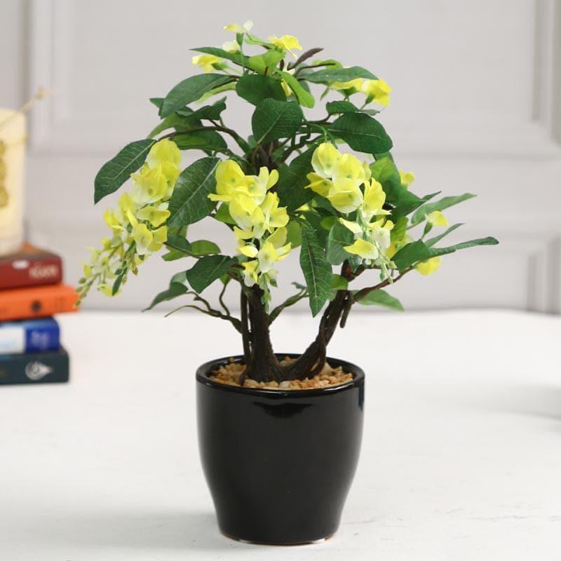 Buy Faux Wisteria Bonsai In Ceramic Pot (25 cms) - Yellow Artificial Plants from Vaaree