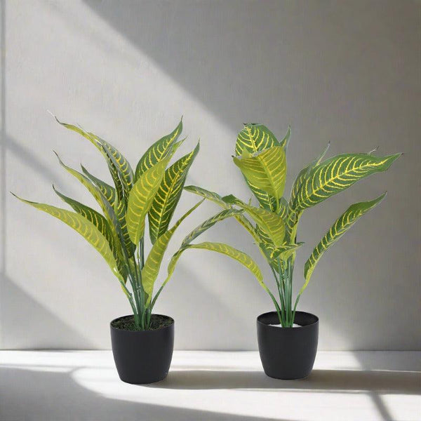 Artificial Plants - Faux Yellow Croton Plant With Pot (50 cms) - Set Of Two