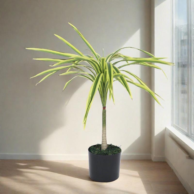 Artificial Plants - Faux Yellow Dragon Tree Plant With Pot - 2.62 ft