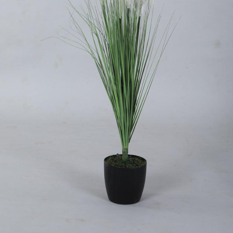 Artificial Plants - Faux Yellow Grass With Pot - 2.95 ft