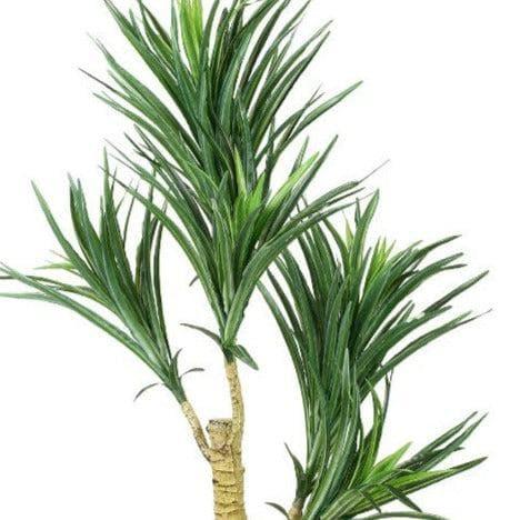 Artificial Plants - Faux Yucca Bonsai In Bowl Pot - 60 cms