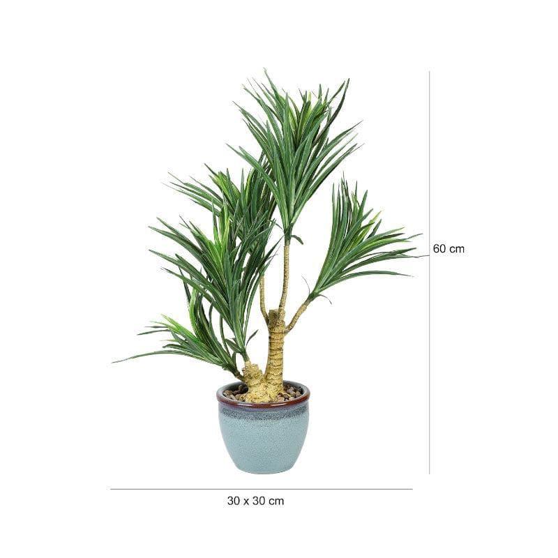 Artificial Plants - Faux Yucca Bonsai In Bowl Pot - 60 cms